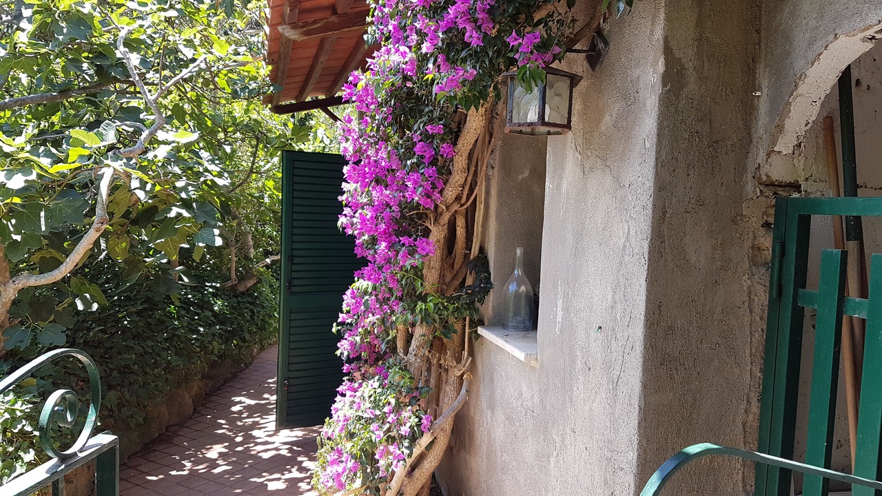Photo of Outdoor in Lacco Ameno