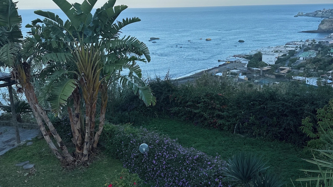 Photo of Outdoor in Panza
