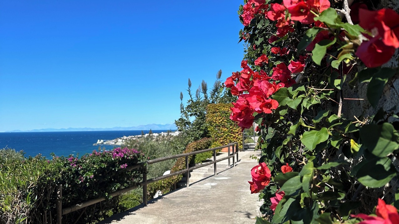 Photo of Outdoor in Panza