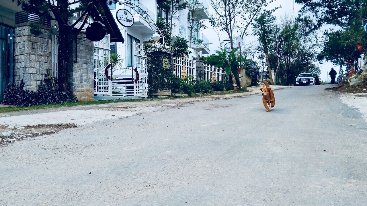 Photo of Outdoor in Da Lat