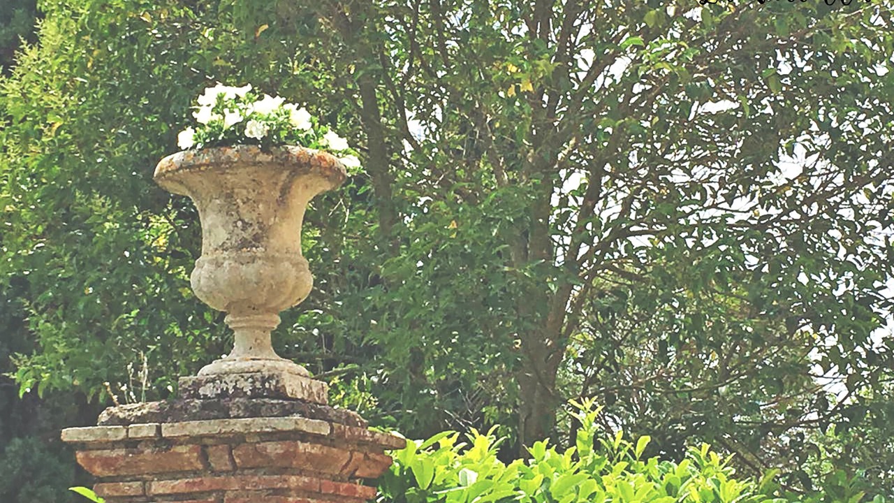 Photo of Outdoor in Civitella d'Agliano