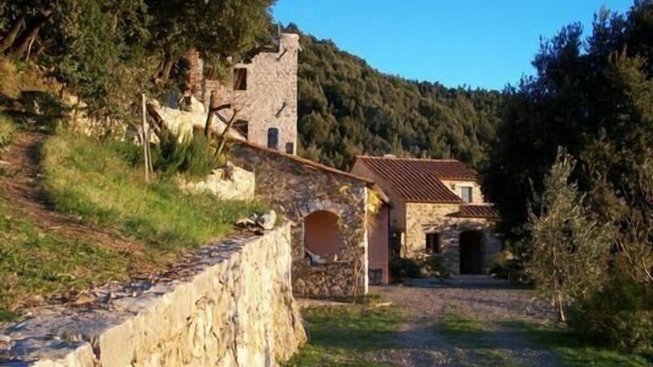 Photo of Outdoor in Tortorella