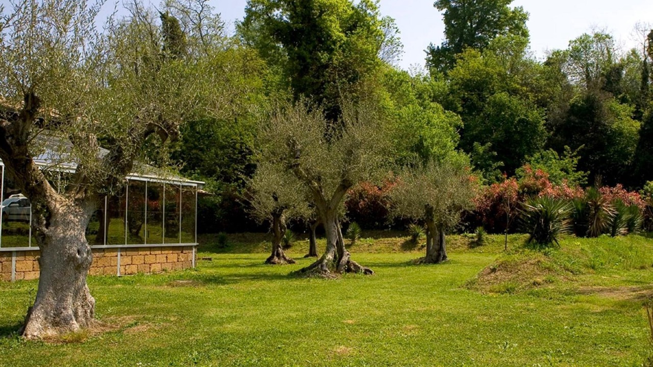 Photo of Outdoor in Zona LIV La Giustiniana