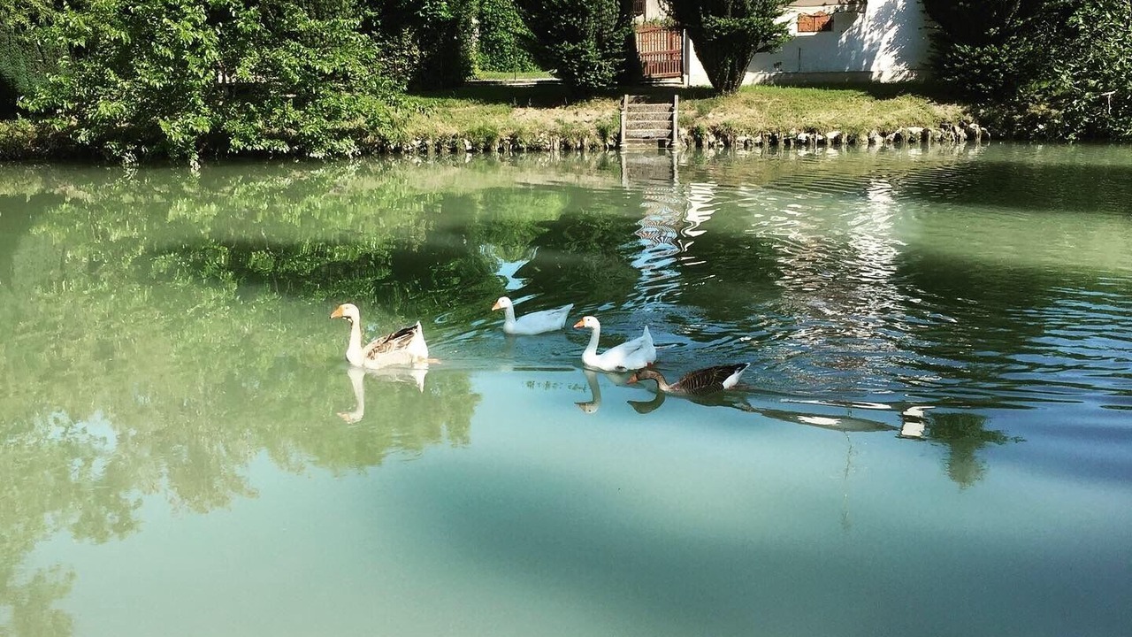 Photo of Outdoor in Dolo