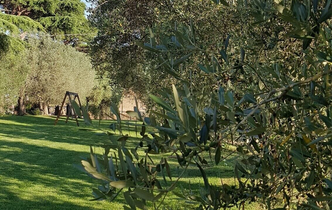 Photo of Outdoor in Zona XXVI Castel di Decima