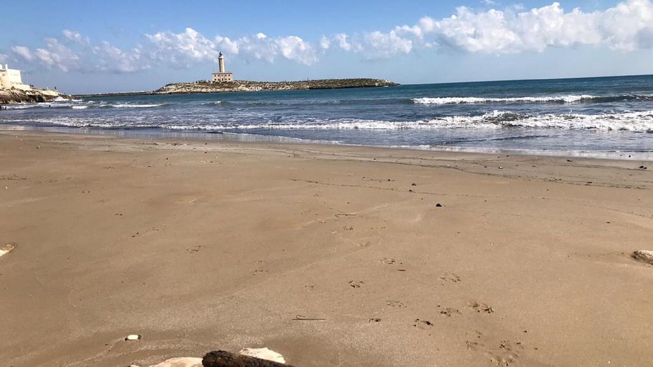 Photo of Others in Vieste