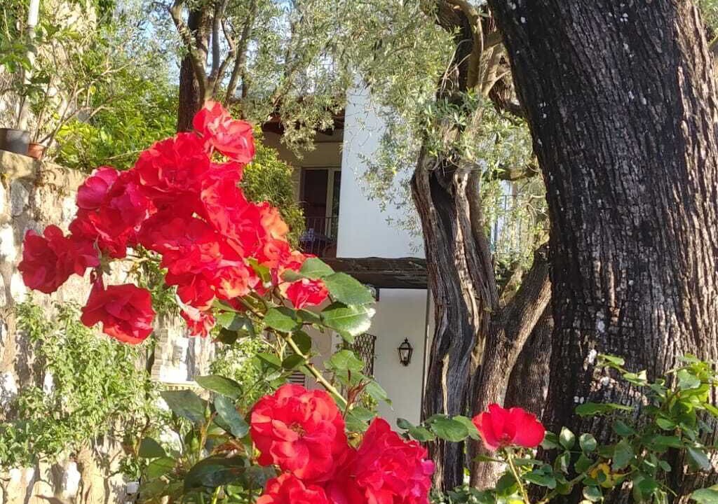 Photo of Outdoor in Sorrento
