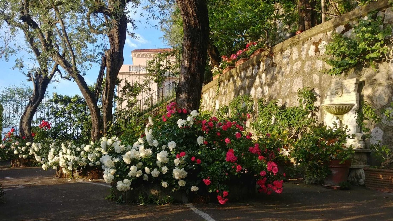 Photo of Outdoor in Sorrento