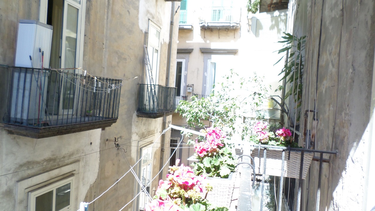 Photo of Outdoor in Historical Center