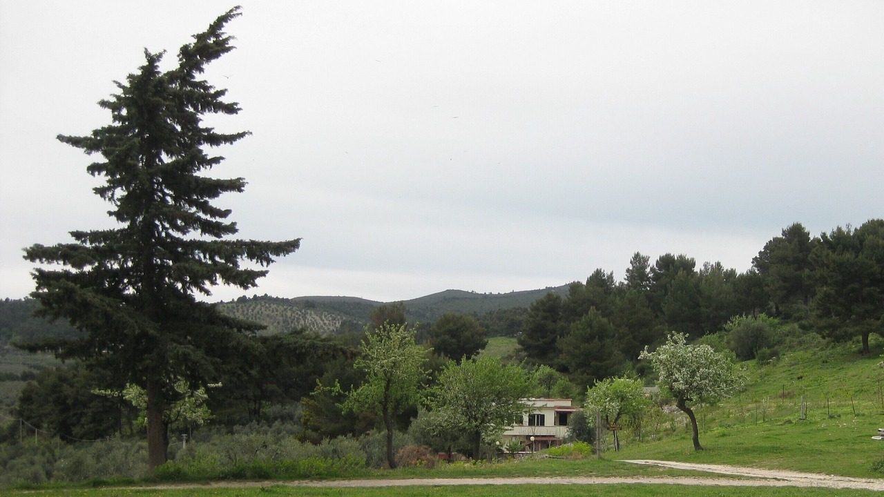 Photo of Outdoor in Mandrione