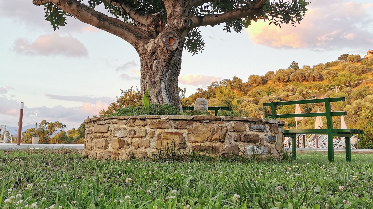 Photo of Outdoor in Castellabate