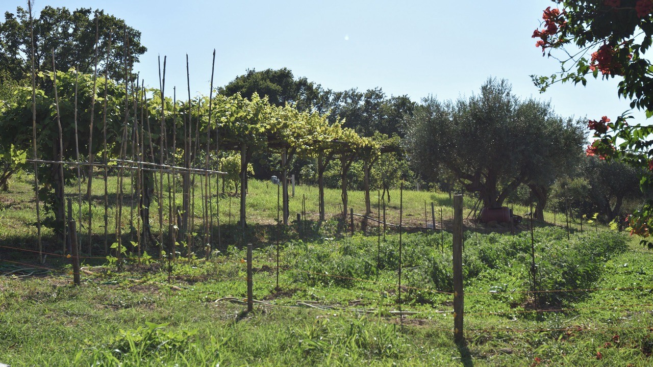 Photo of Outdoor in Castellabate