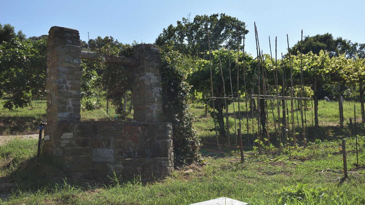 Photo of Outdoor in Castellabate