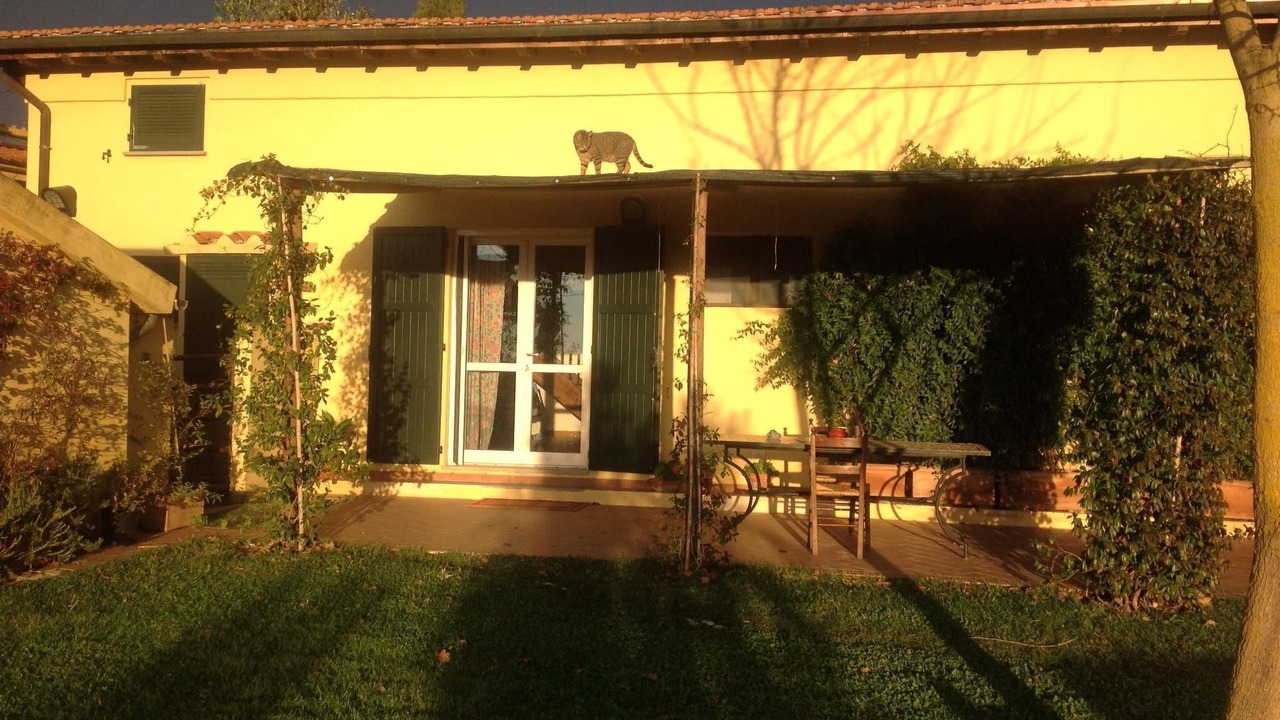 Photo of Outdoor in Manciano