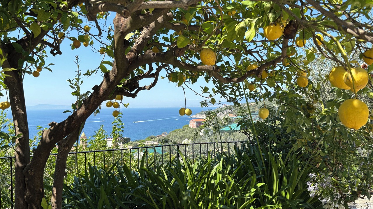 Photo of Outdoor in Schiazzano