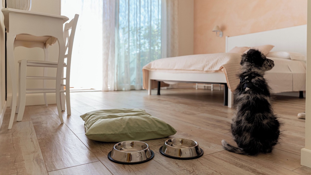 Photo of Bedroom in Sambruson