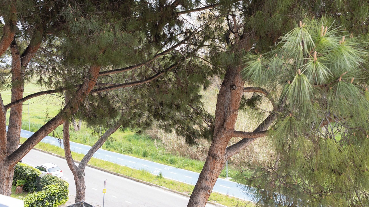 Photo of Outdoor in Silvi Marina