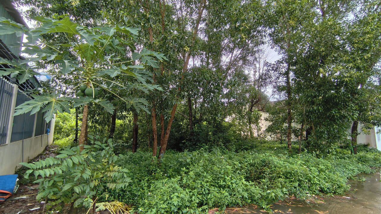 Photo of Outdoor in Ong Lang