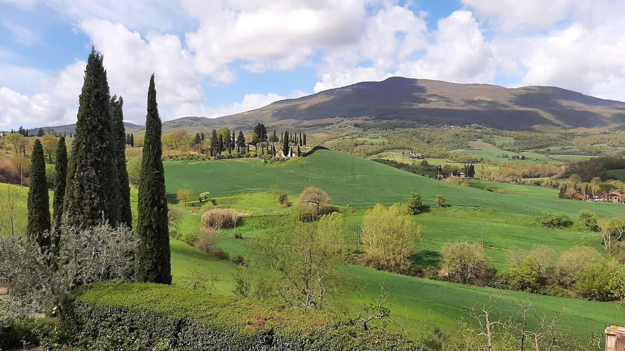 Photo of Others in Cetona