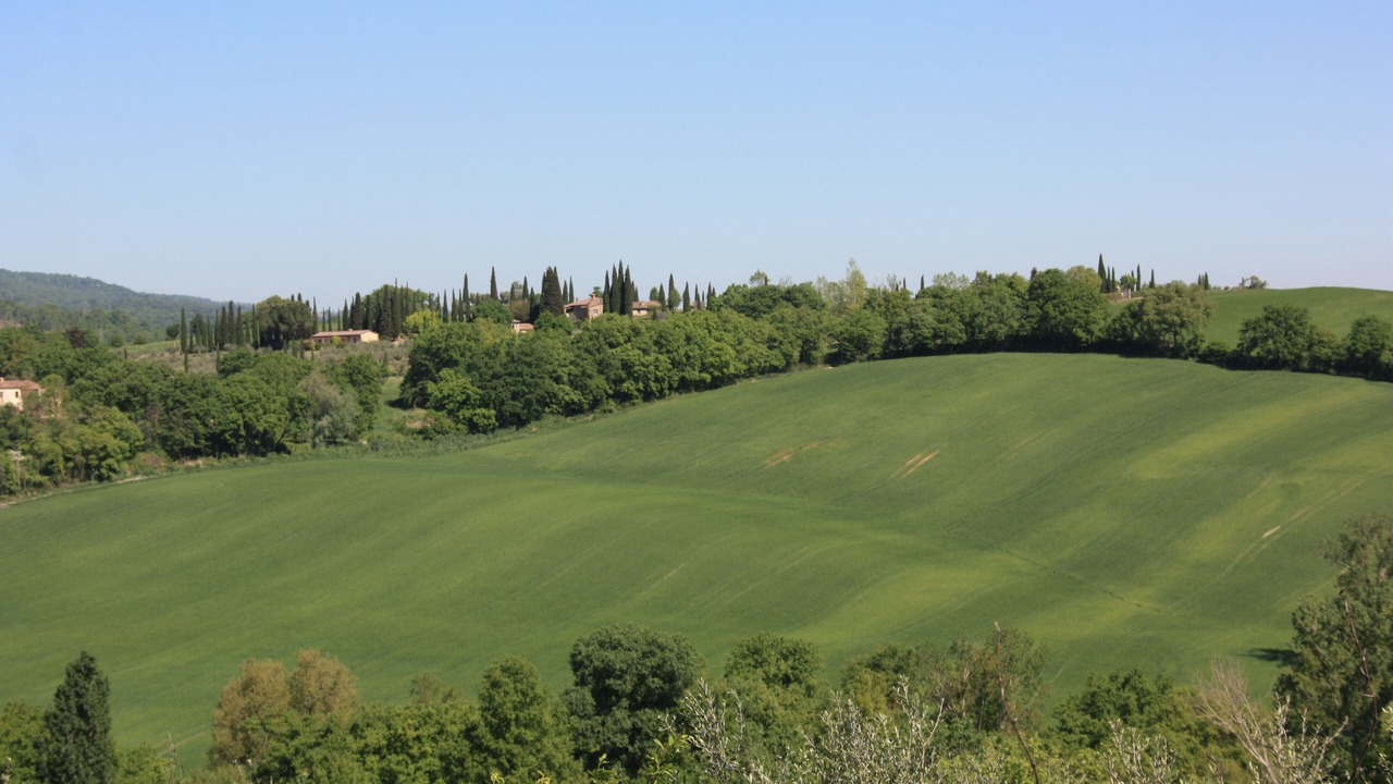 Photo of Others in Cetona