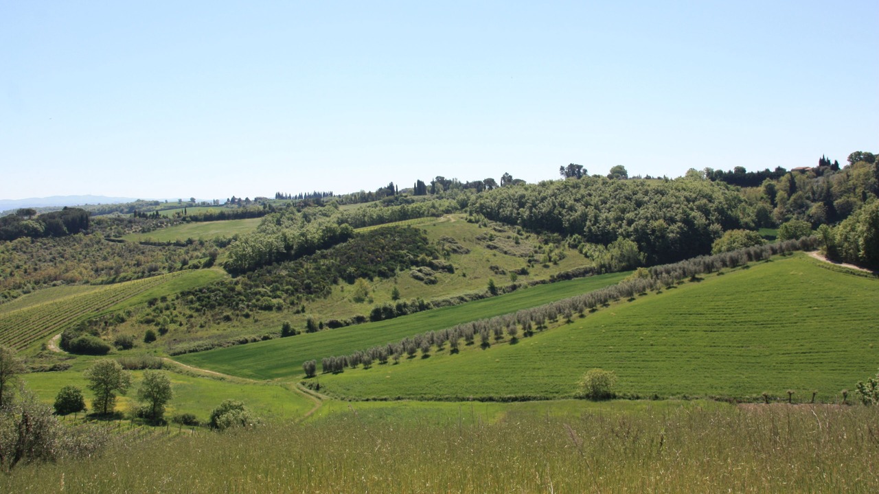 Photo of Others in Cetona