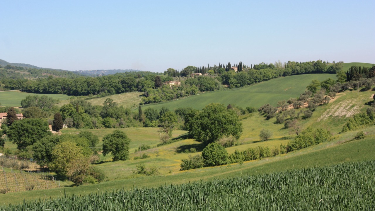 Photo of Others in Cetona
