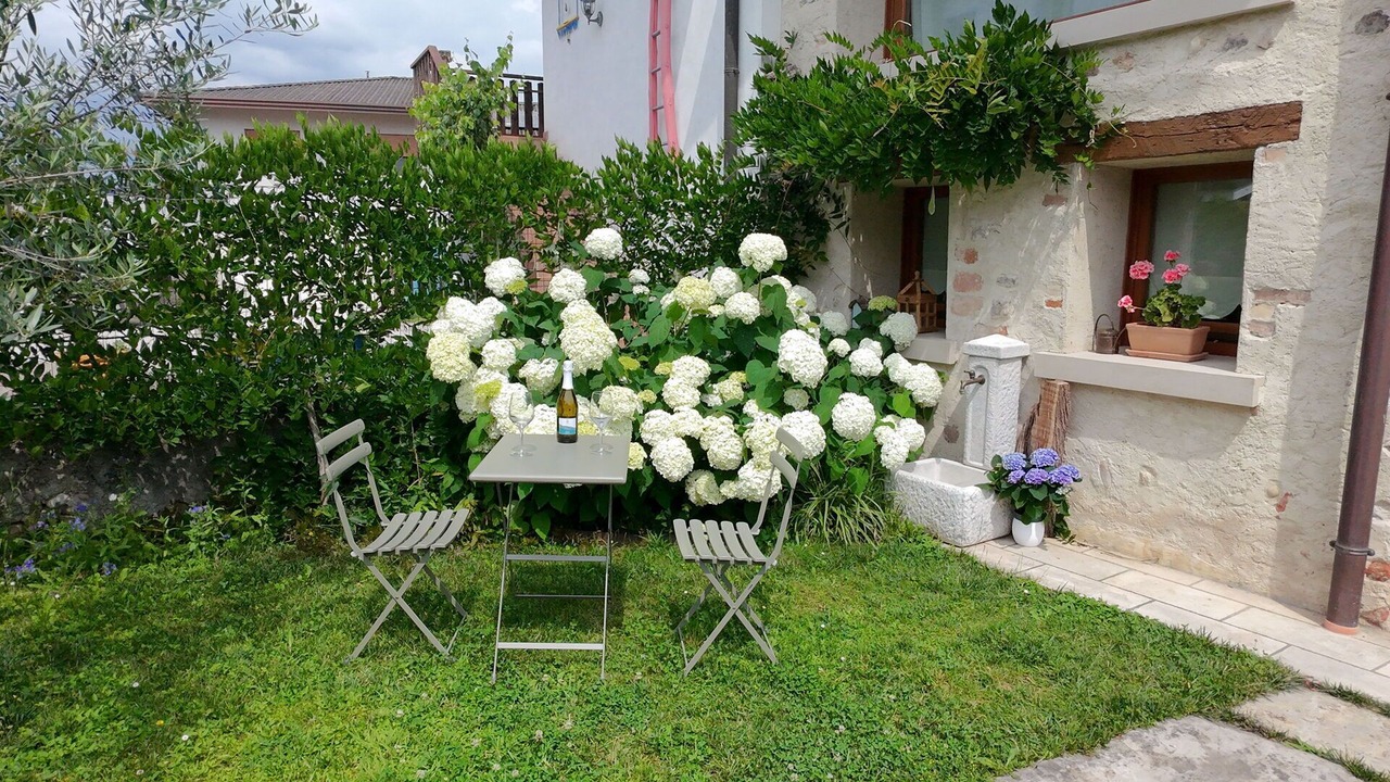 Photo of Outdoor in Moriago della Battaglia