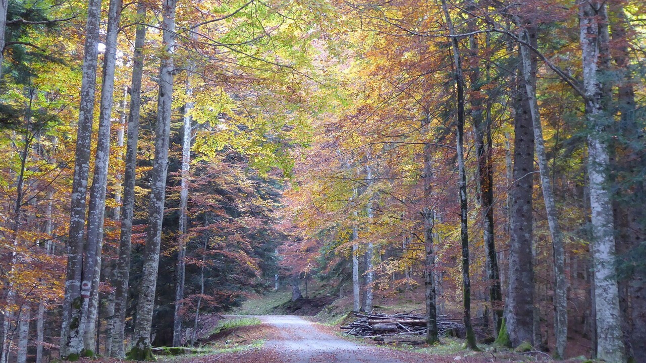 Photo of Outdoor in Moriago della Battaglia