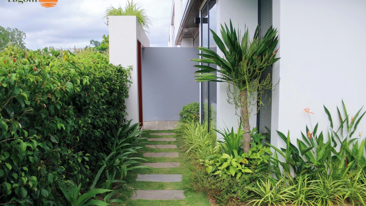 Photo of Outdoor in Duong To