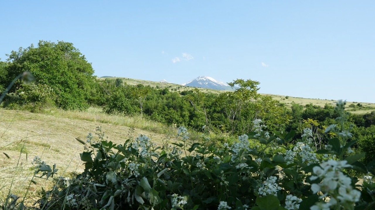 Photo of Others in Roccamorice