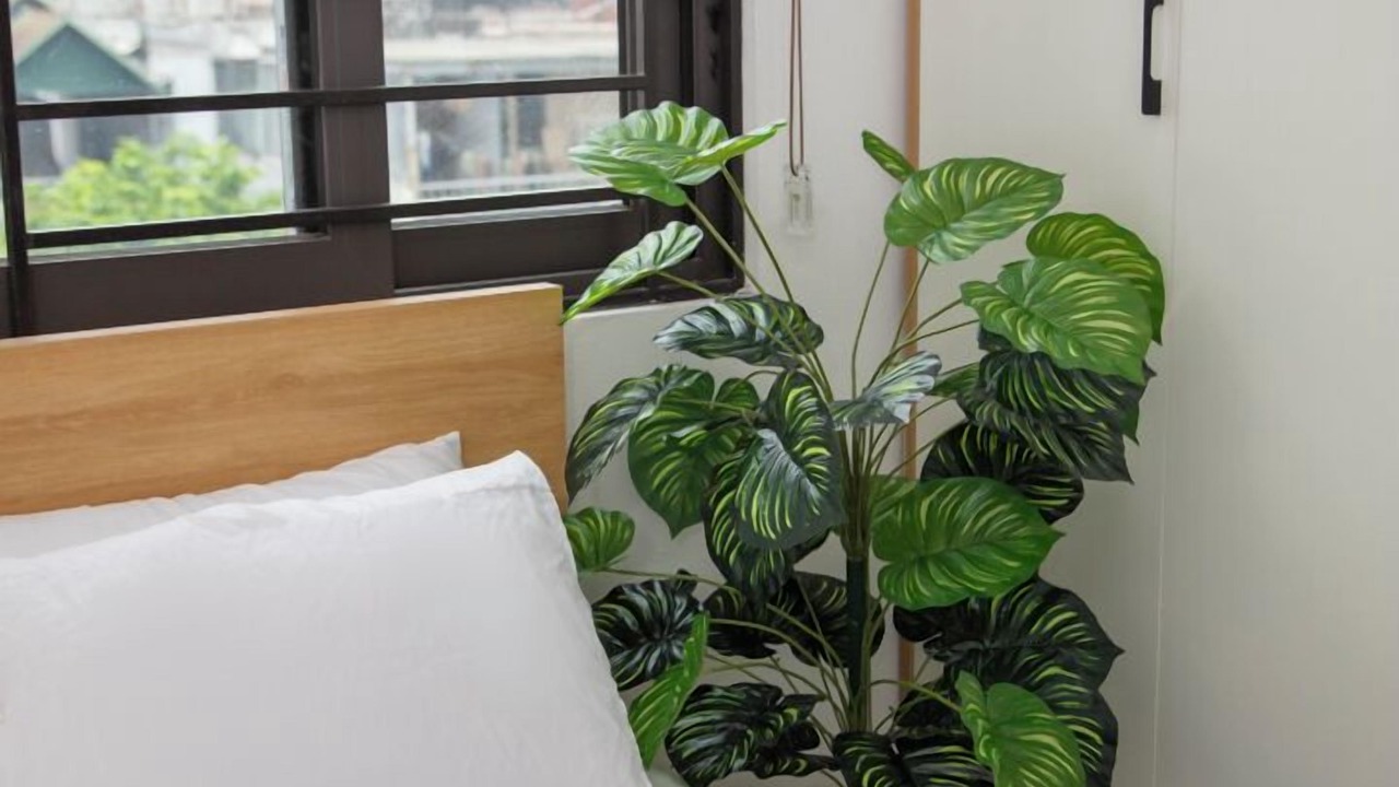 Photo of Bedroom in Yen Phu