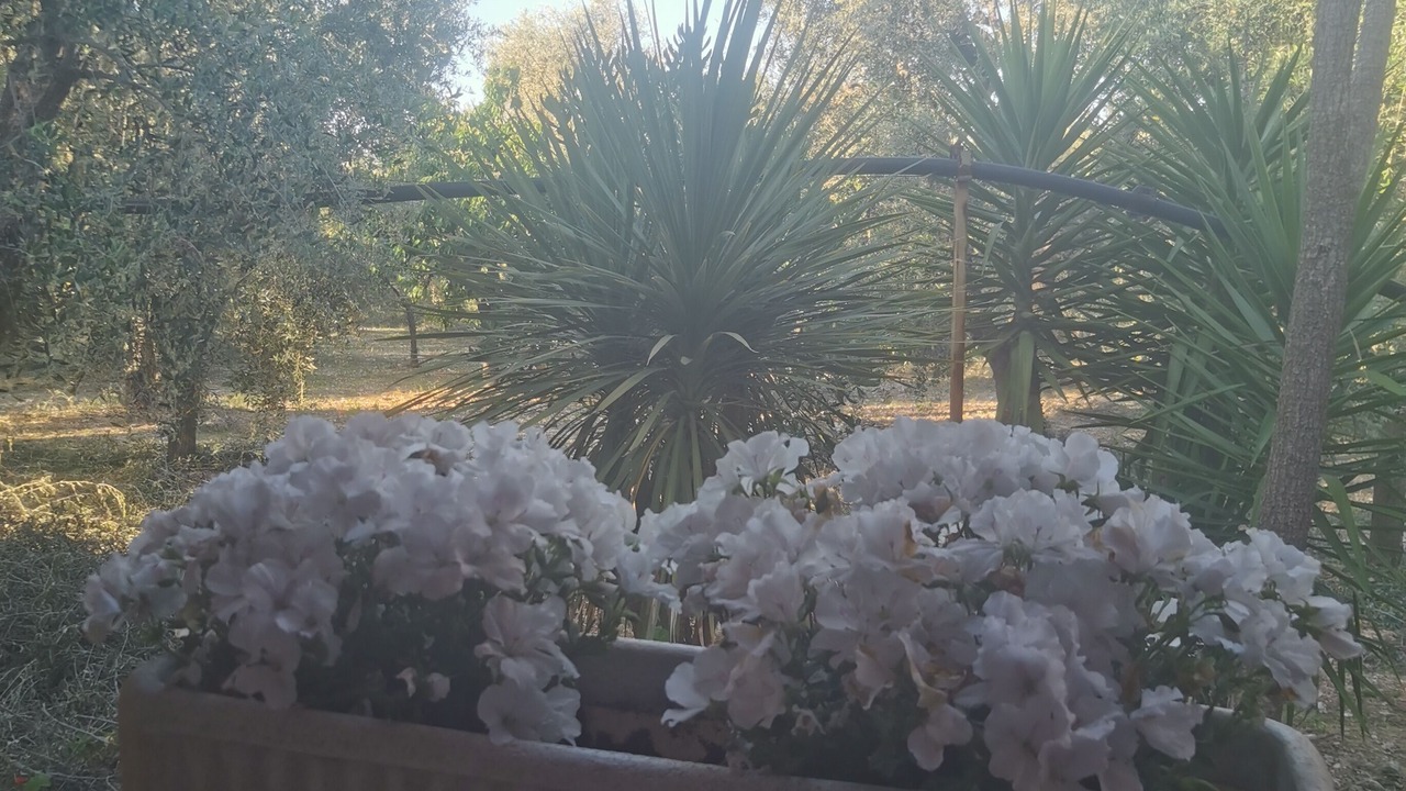 Photo of Outdoor in Montincello