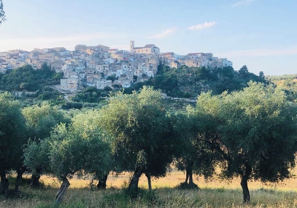 Photo of Others in Cagnano Varano