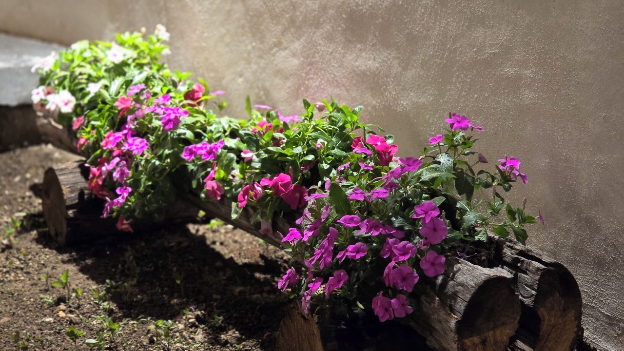 Photo of Outdoor in Casola di Napoli