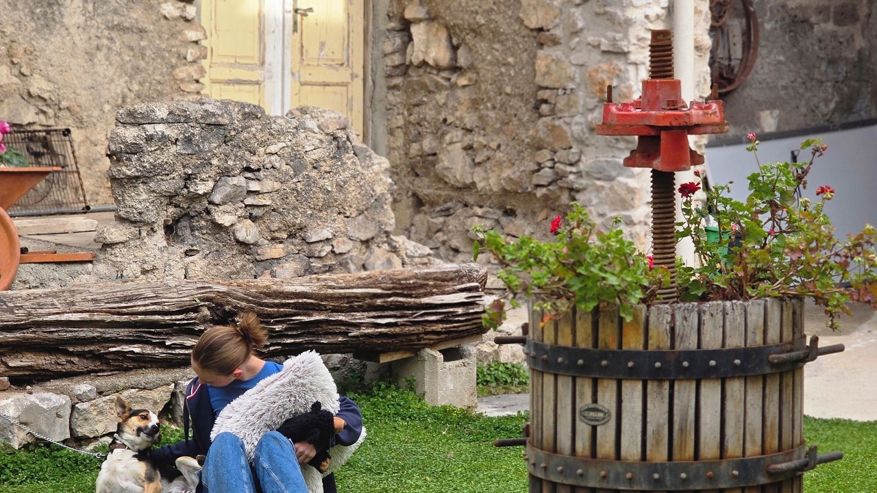 Photo of Outdoor in Casola di Napoli