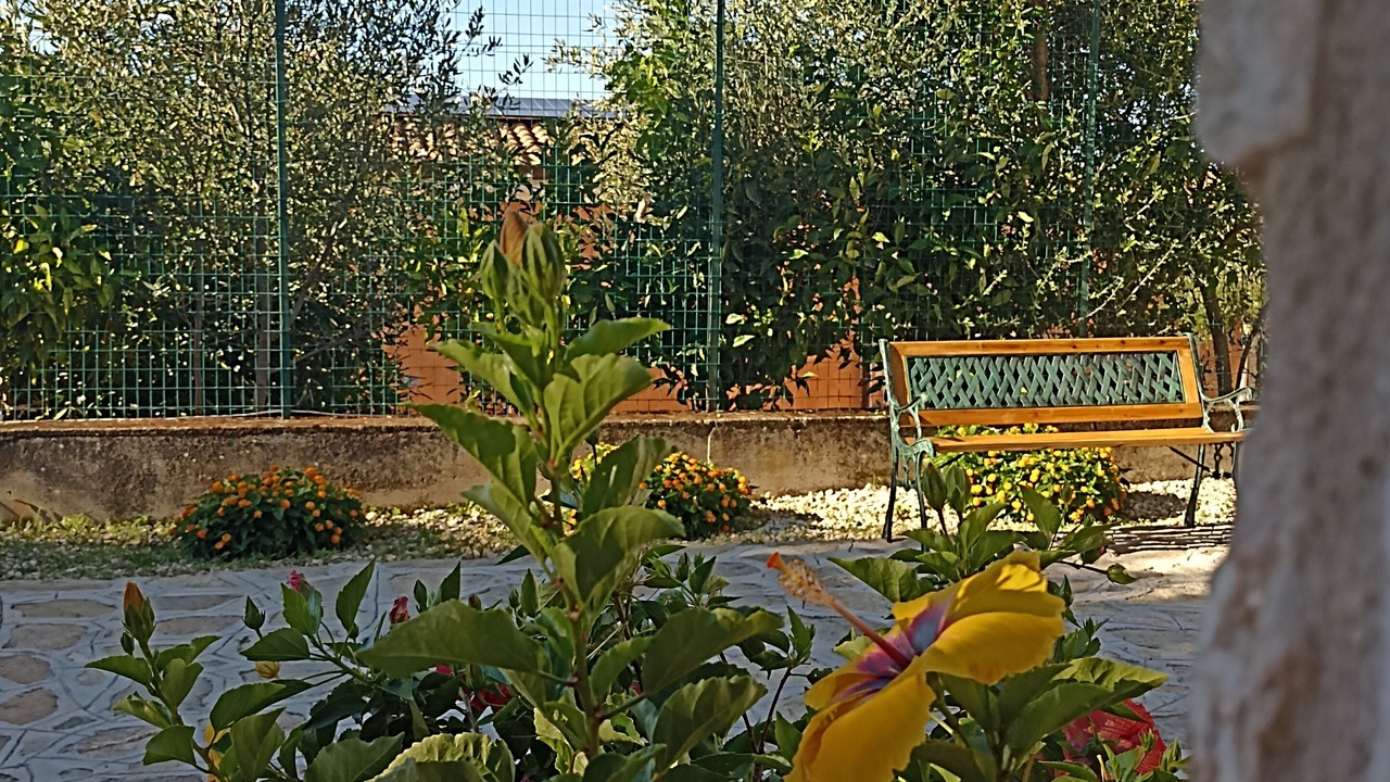 Photo of Outdoor in Marina Di Camerota