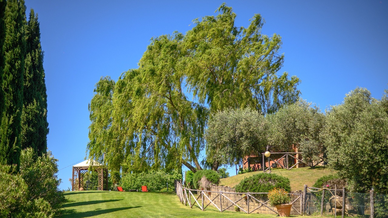 Photo of Outdoor in Manciano