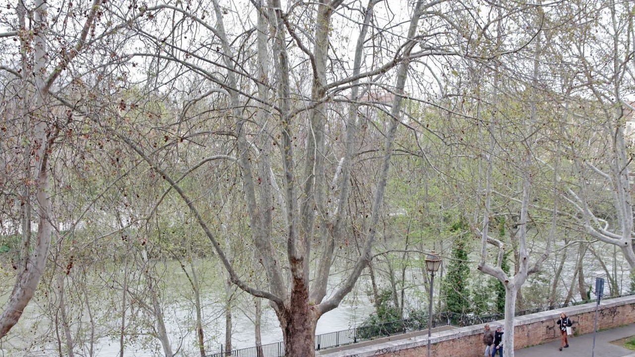 Photo of Others in Testaccio