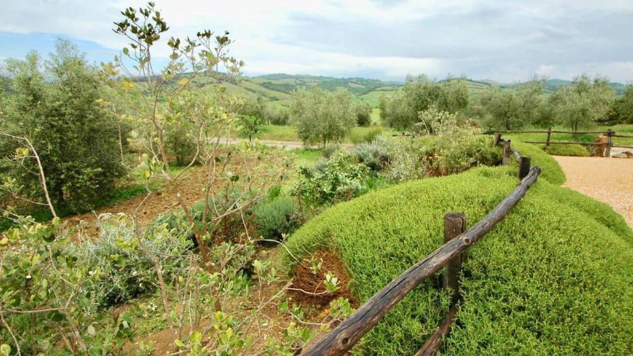Photo of Others in Manciano