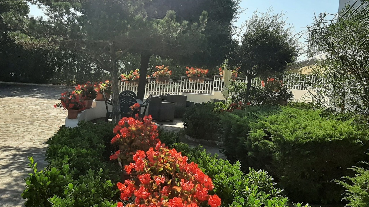 Photo of Others in Minturno