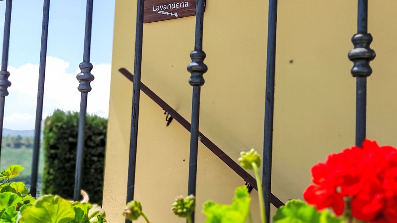 Photo of Others in Notaresco