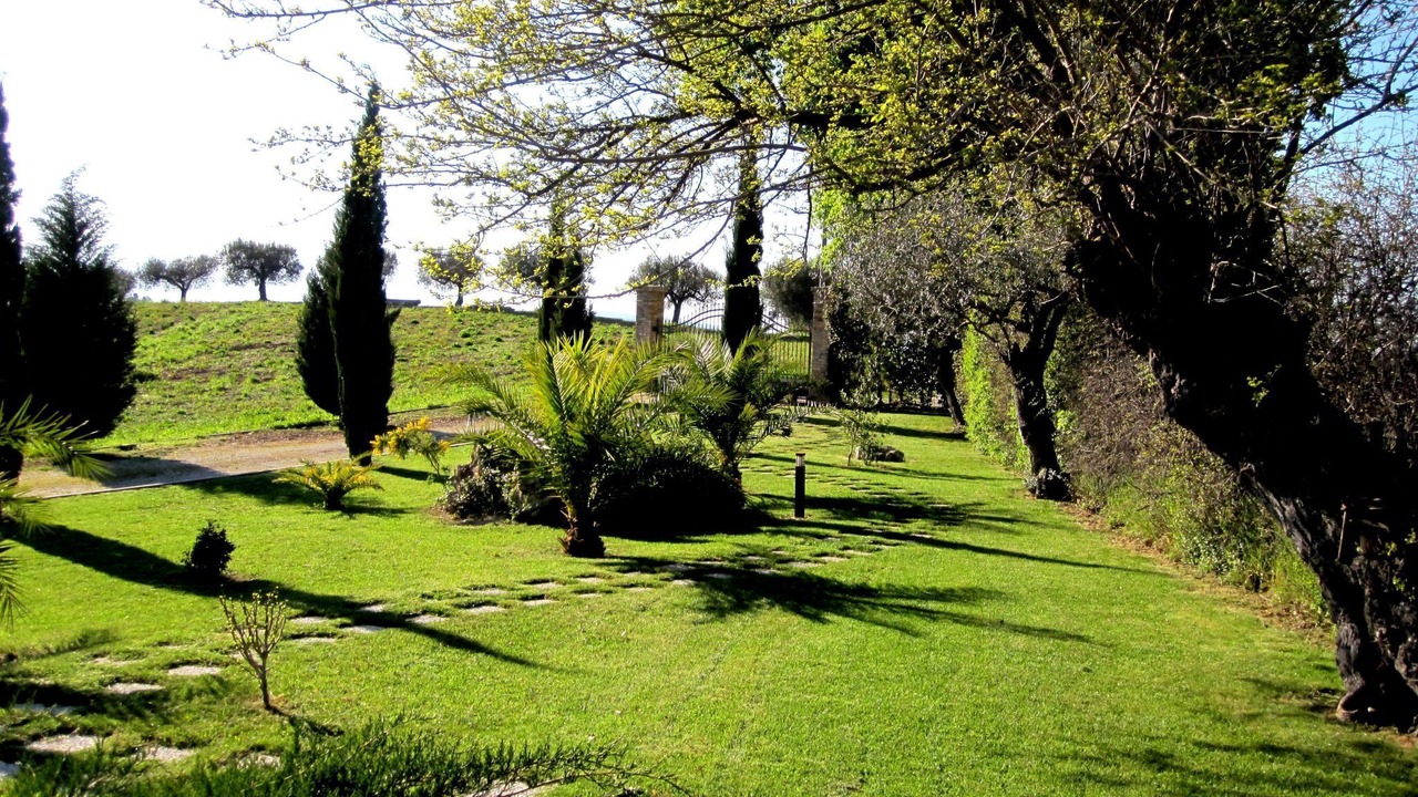 Photo of Others in Notaresco