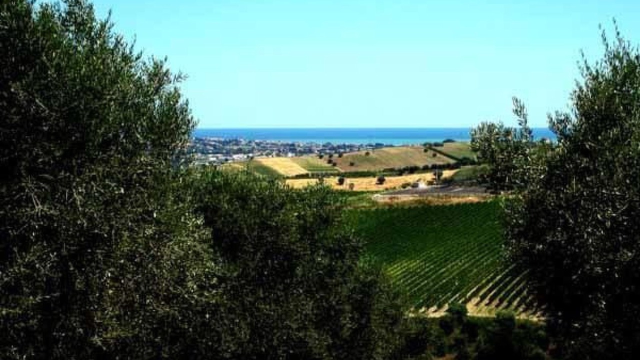 Photo of Others in Notaresco