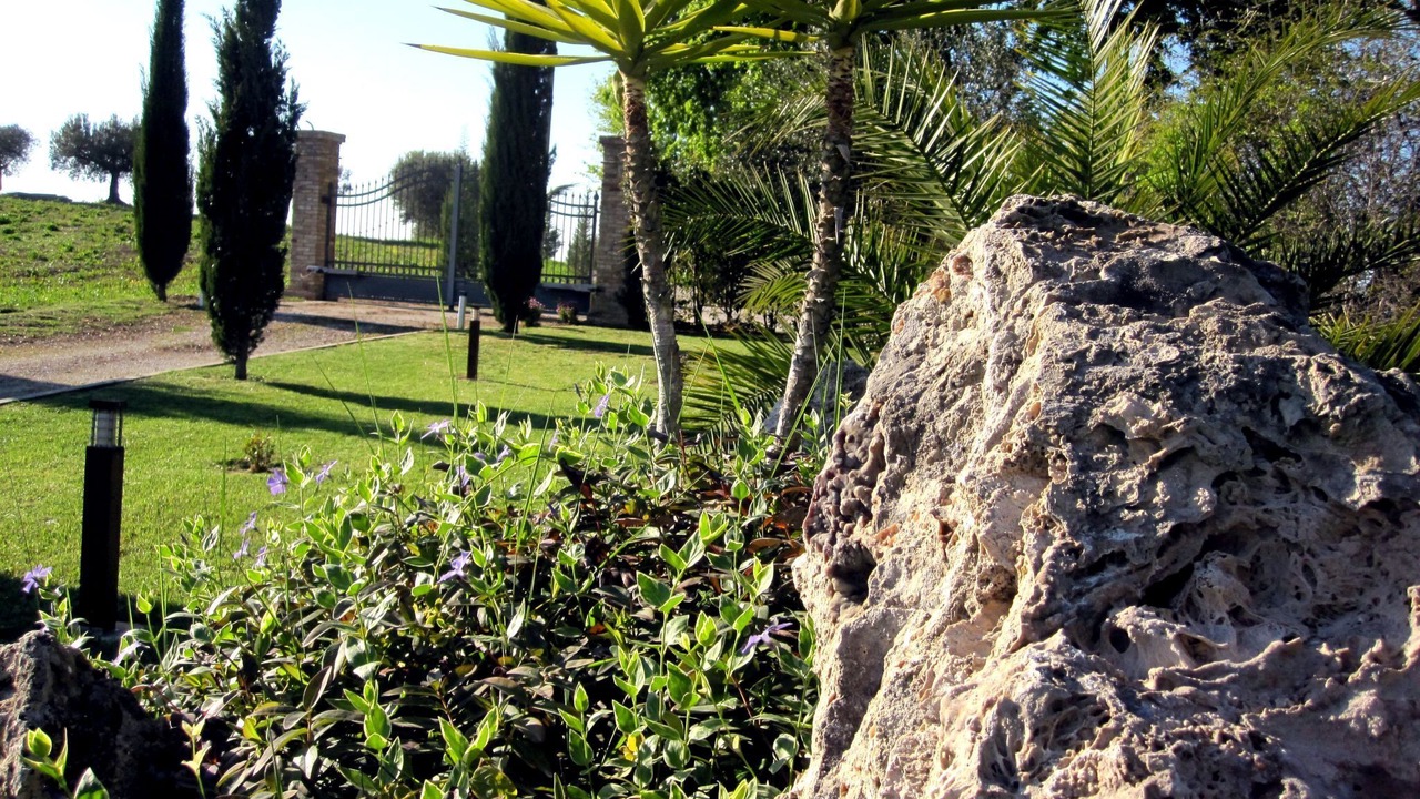 Photo of Others in Notaresco