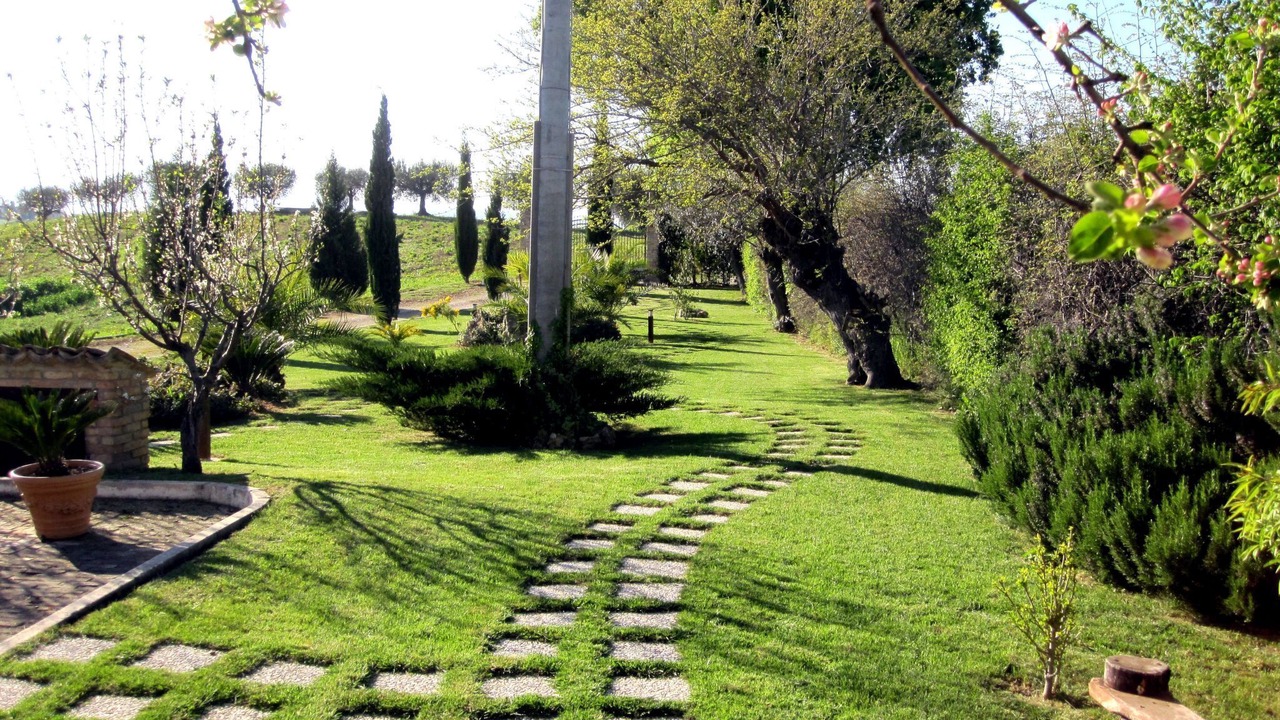 Photo of Others in Notaresco