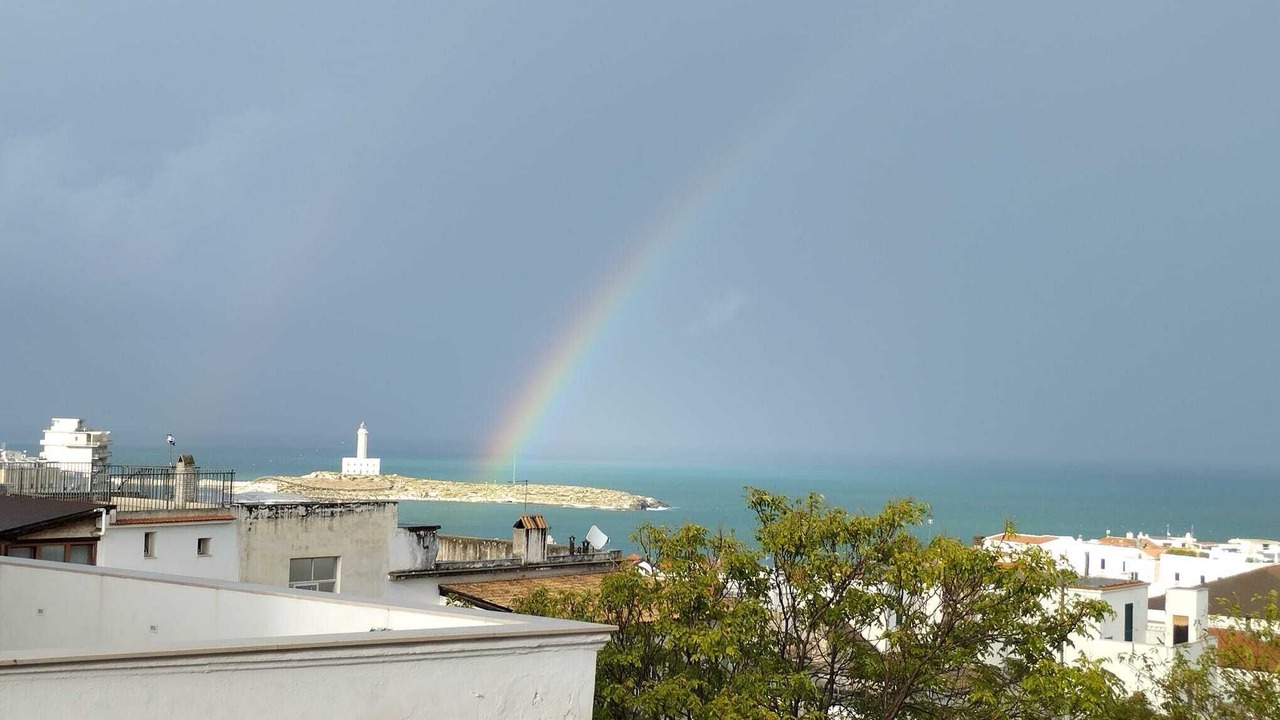 Photo of Others in Vieste