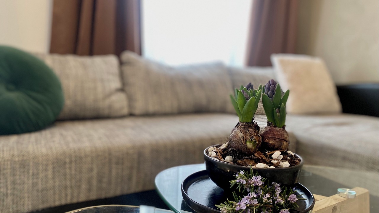 Photo of Livingroom in Affi