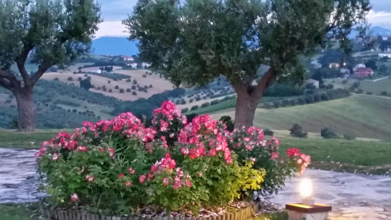 Photo of Outdoor in Cologna Spiaggia