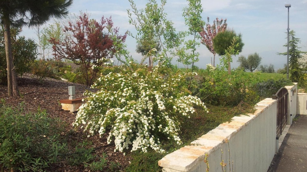 Photo of Outdoor in Cologna Spiaggia