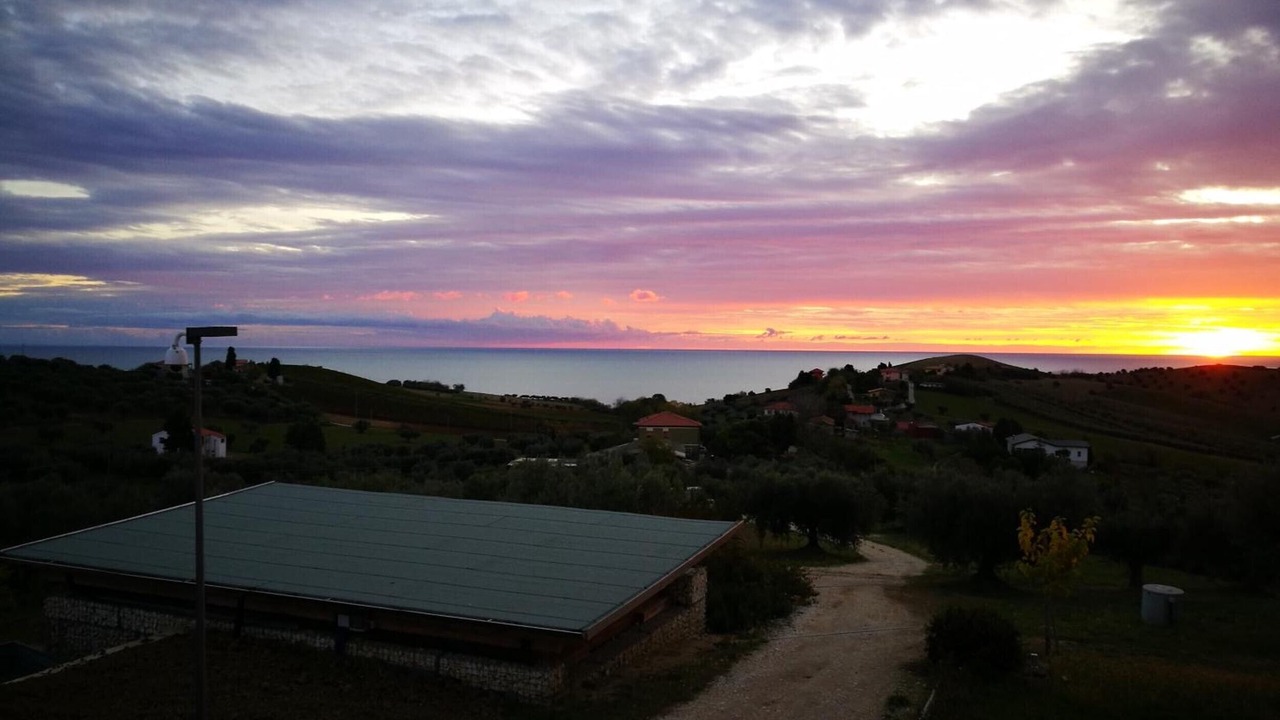 Photo of Others in Cologna Spiaggia